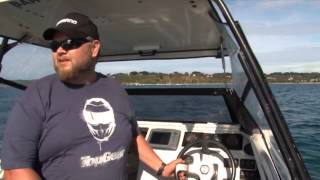 Shimano Squid Jigs