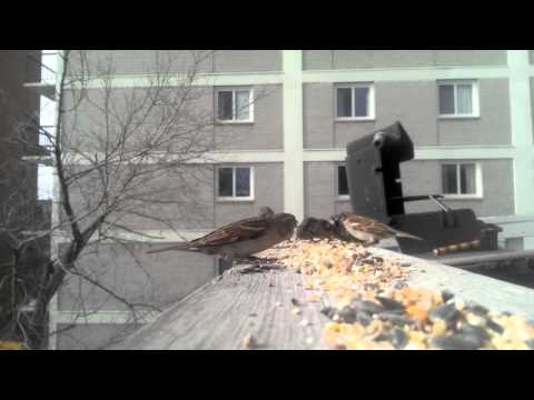 Getting Over It Video