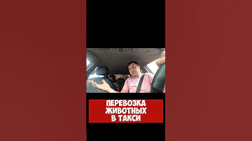 Можно ли перевозить вещи в такси