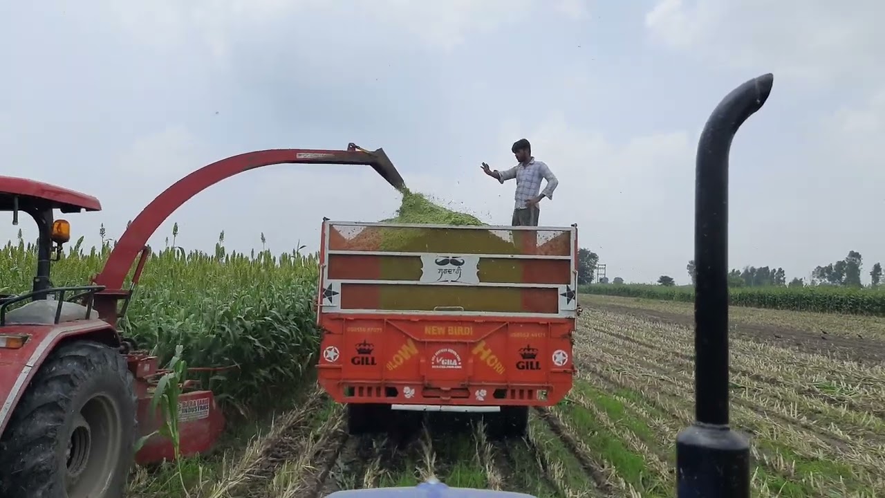 All process of silage for animals ❤ Gill Brothers Agriculture