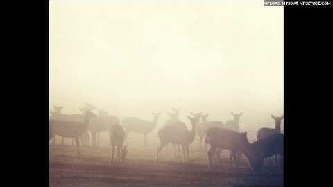 Resolved Dissonance - By Heart