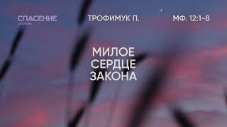 23.04.2023 | Милое сердце закона | Павел Трофимук | Мф. 12:1-8