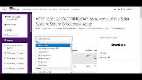 Grading with a Custom Scale in Moodle v3.8