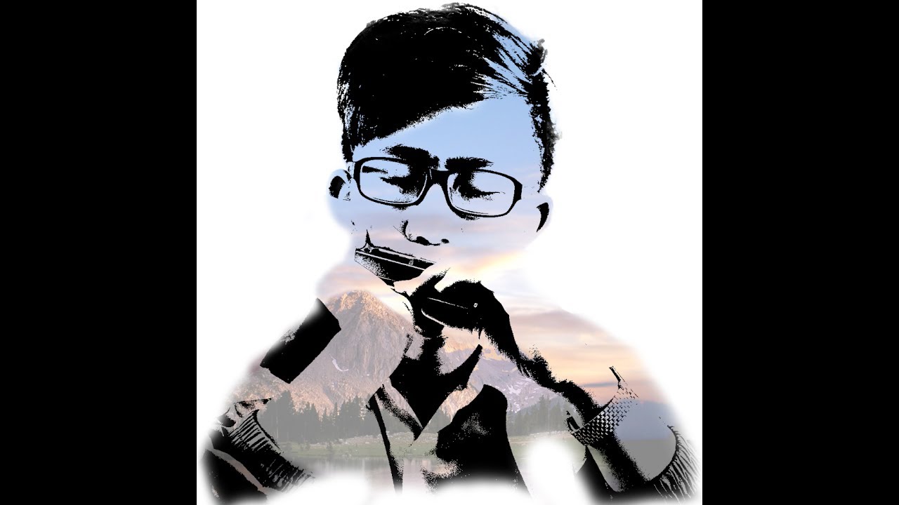 Skyfall (Adele) - Harmonica by HSn