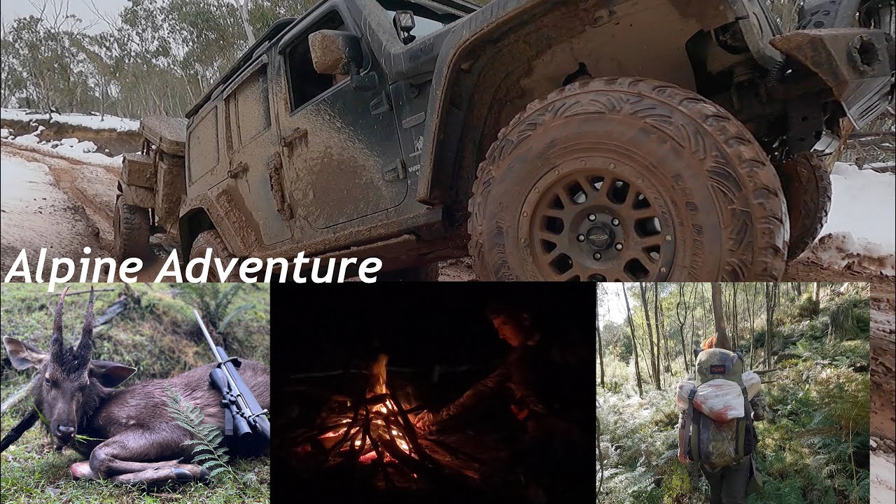 Deer Hunting Australia’s alpine region YouTube