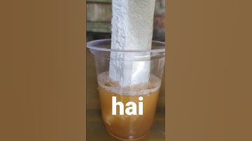 Petrol+Thermocol =Powerful Glue😱 #fyp #diy #lifehacks #experiment