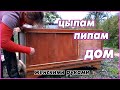 Брудер для цыплят женскими руками