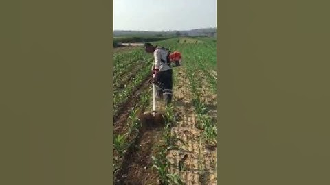 Agriculture implements for intercultural operation