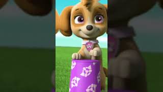 31 De Janeiro De 2022