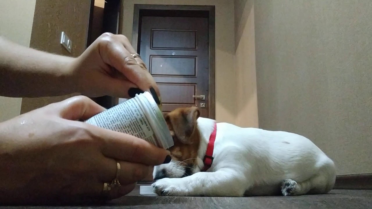 8in1 Excel Multi Vitamin Puppy Эксель Мультивитамины для щенков