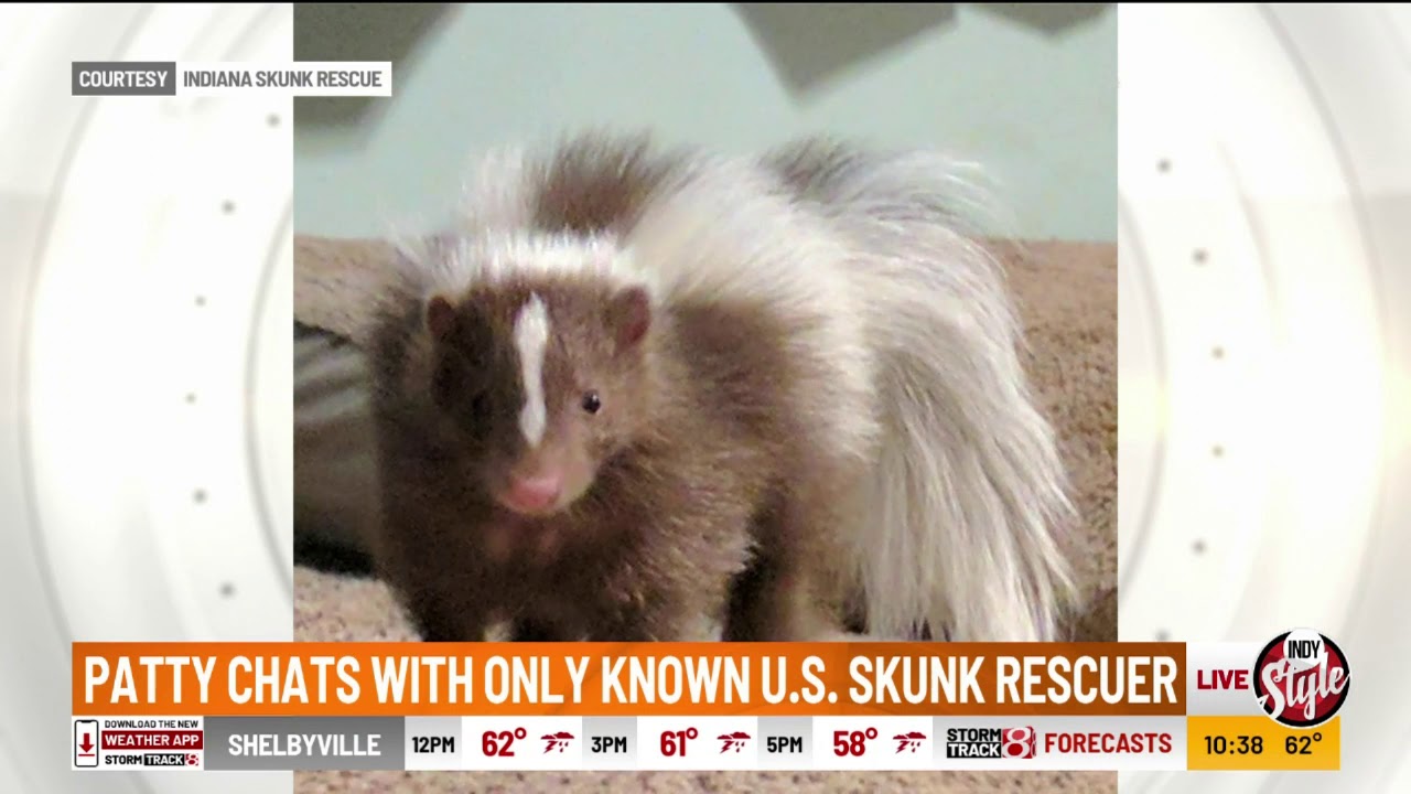 Patty Spitler with only known skunk rescuer in U.S.