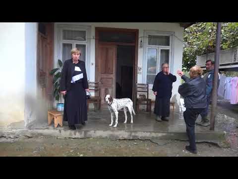 სოფელ კონტუათში  მეხმა სამი მოსახლე დააზარალა