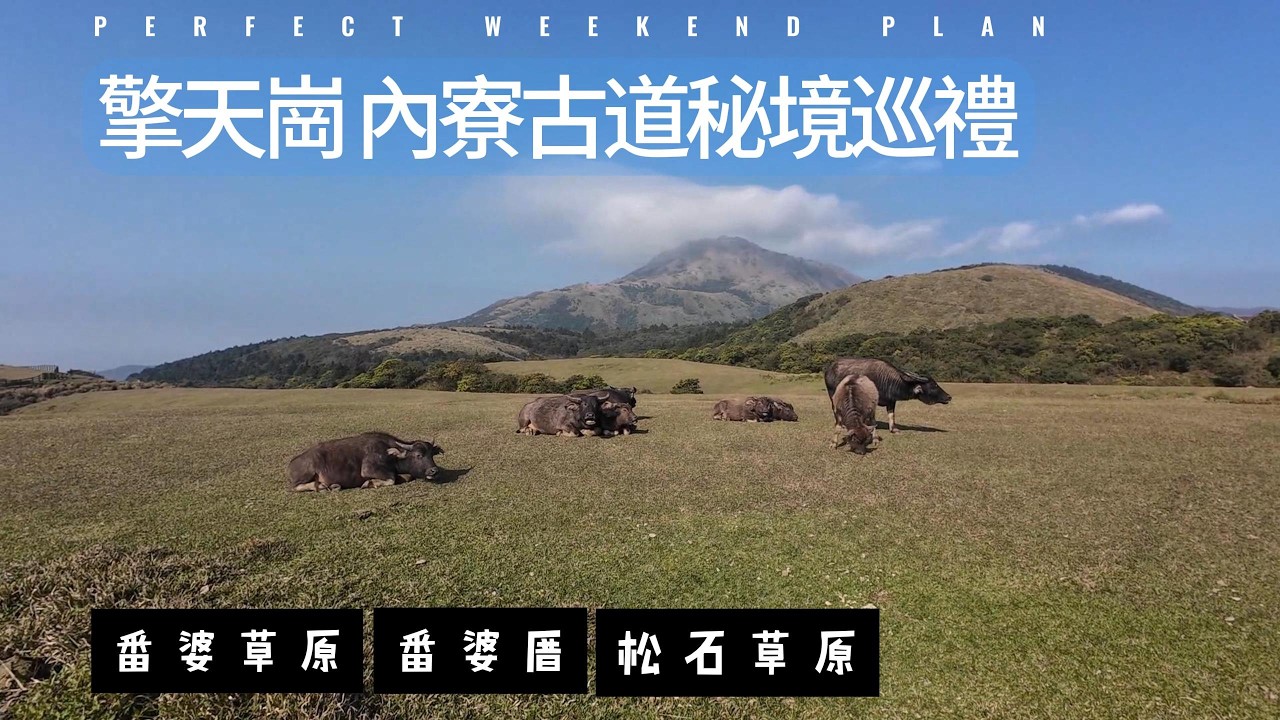 原來內寮古道這麼有趣!古厝與草原的山林風景｜我愛陽明山