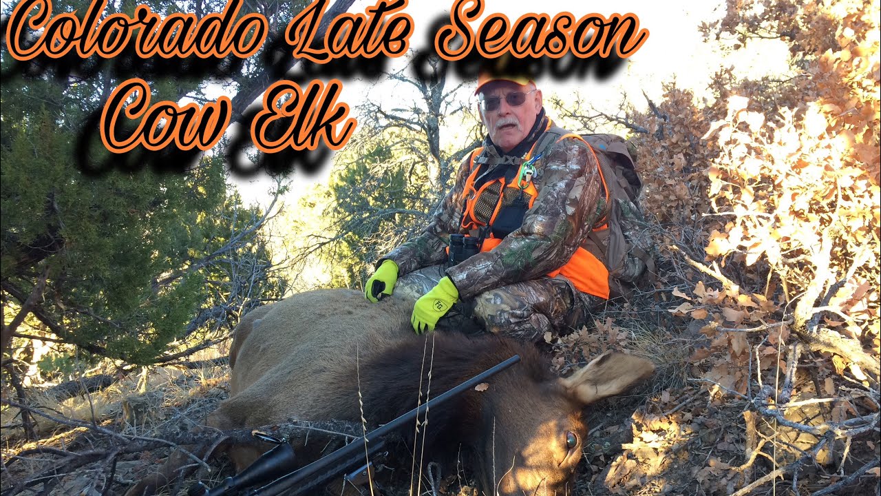 Utah Late Season Cow Elk Hunts Utah Late Season Cow Elk Hunts