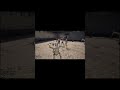 Half sword EA Glaive BS #shorts #halfsword #halfswordgameplay #gaming #viral