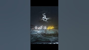 Part 14 |أكتب شئ تؤجر عليه ❤️|#ياسر_الدوسري #قرآن #اكتب_شي_تؤجر_عليه #تلاوة_خاشعة #quran #راحة_نفسية