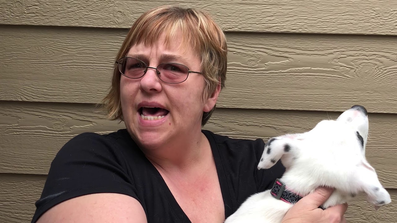 What's In Your Mortgage Payment - YouTube