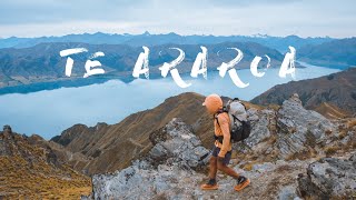 Te Araroa ⎸ Living the Dream