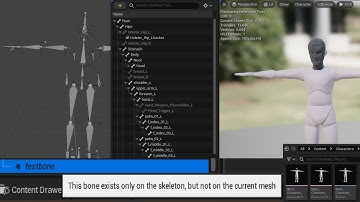 Reimporting Character Skeletons To Unreal (Solving Common Issues) - Unreal Engine Tutorial