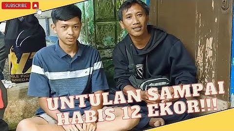 SETTINGAN SOGON JESICA TERBARU!!! | SOGON VIRAL | SOGON TERMAHAL