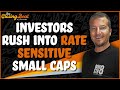 Investors Rush Into Rate Sensitive Small Caps