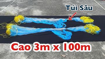 Lưới Cước Thái Sư Tử Biển | Cao 3m x 100m 12cm / Cước 2.5 | Thả Chìm - Túi Sâu |