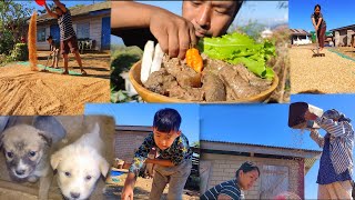 Rice winnowing and drying || eating own grown perilla seeds with smoked meat || kents vlog.