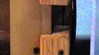 chicken coop door arduino automatic coops
