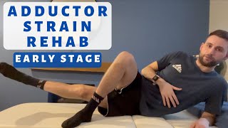 Adductor Strain Early Stage Rehab Exercises