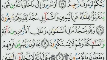 تلاوة للآيات البينات 48، 49 و 50 من سورة النحل