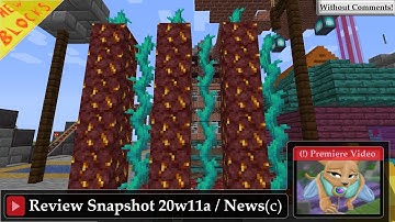 Twisting Vines, Nether Gold Ore & Soul Speed Ench. - Snapshot 20w11a | Minecraft Nether Update 1.16~