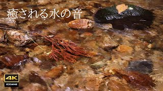 4K video + natural environmental sounds ASMR Soothing sound of gently flowing water