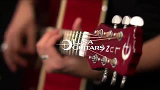 Video thumbnail of "Luna Flora Lotus Electro Acoustic Guitar | Demonstration"