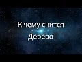 К чему снится Дерево (Сонник, Толкование снов)