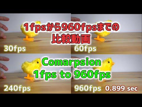 FPSによる動画の違い！1fpsから960fpsまで！ FPS Comparison from 1fps to 960fps!
