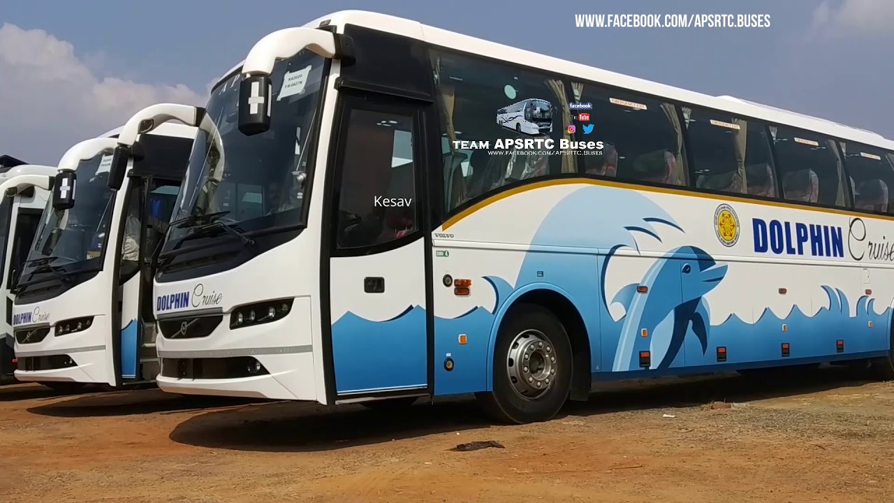 dolphin cruise bus apsrtc