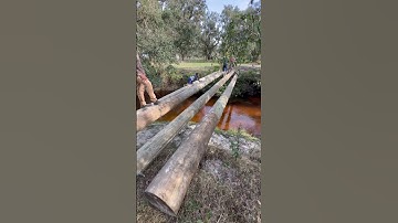 Building a bridge with telephone poles #bridge #creek #videocomingsoon