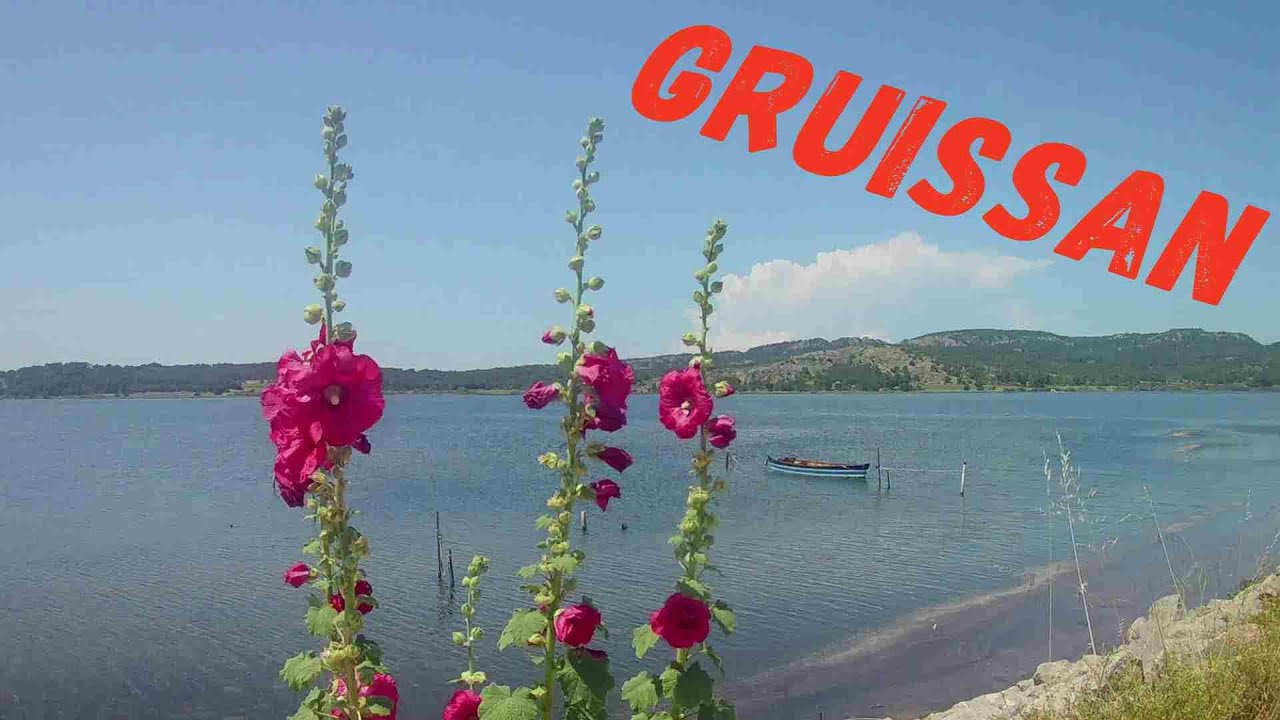Gruissan, son château en ruines, son port, ses salins...
