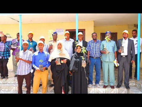 Xuska Maalinta Dhir Beerista Qaranka Somalilandoo  Lagu Qabtay Magaalada Gabiley
