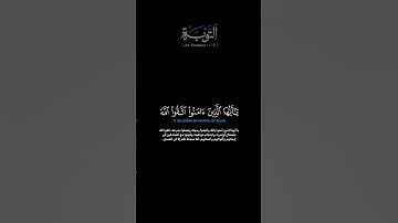 سورة التوبة الآية 119 الشيخ المعيقلي #قران #quran #guidance #تلاوات #تلاوة_خاشعة #تلاوة_هادئة #تلاوة