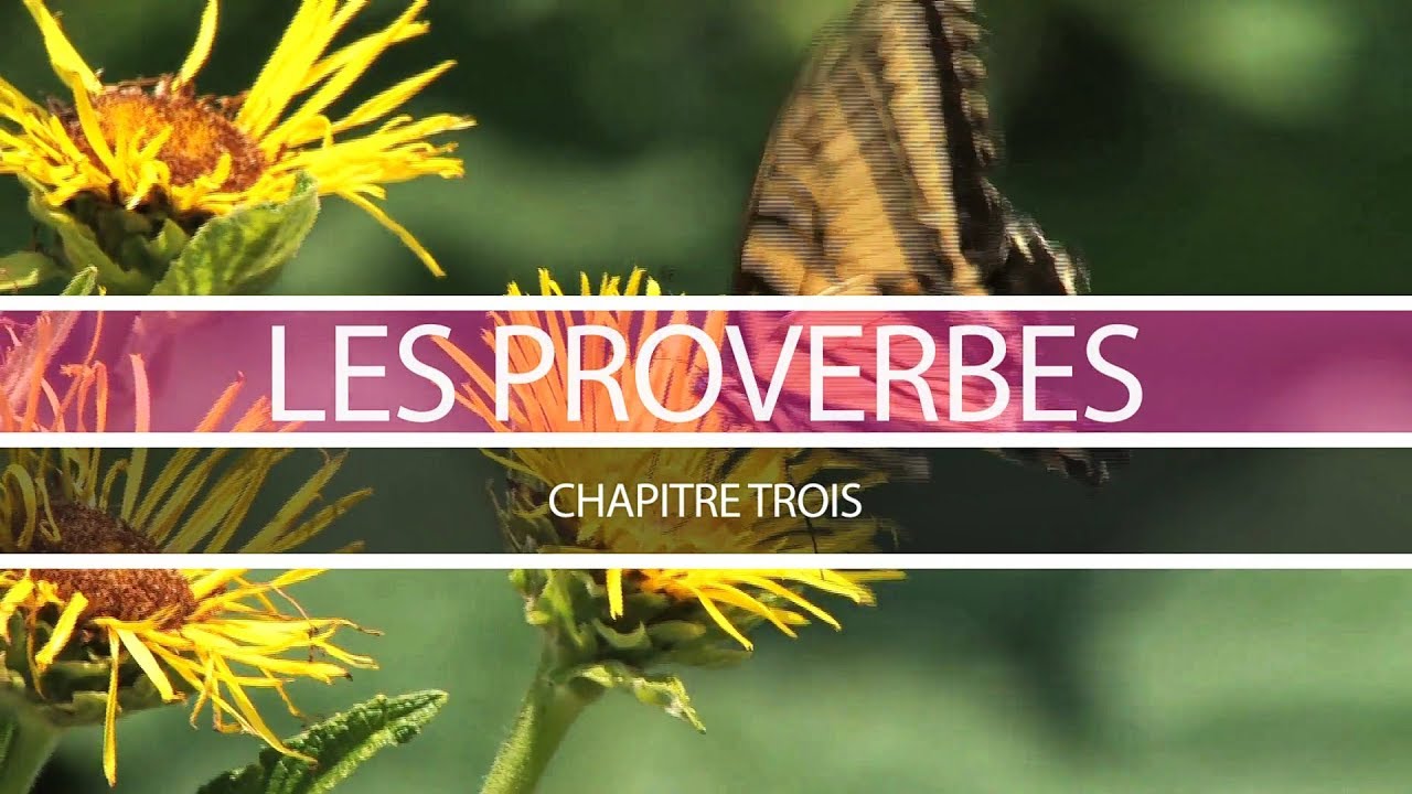 Proverbe chapitre trois
