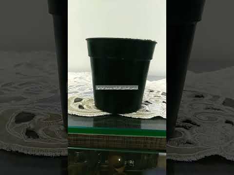 ارخص قصاري للزراعه في مصر      