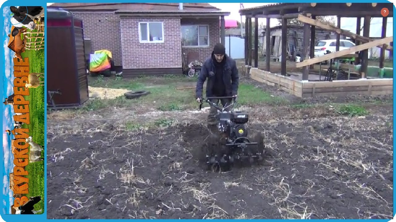 Пришлось вскрывать запасы в земле ещё много