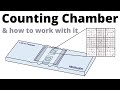 Cell Counting with Bower Counting Chamber