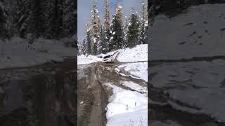 Дорога в альплагерь Актру (Алтай)