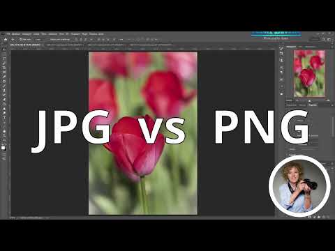 Video: Devo salvare le foto come jpeg o png?