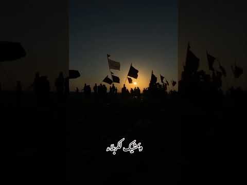 ادعيلي يالرايح اله واخذ شوقي و وصله وبمشيك لكربلاء اهديلي لو بس خطوتين