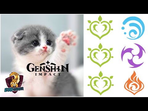 Dendro Reactions Explained