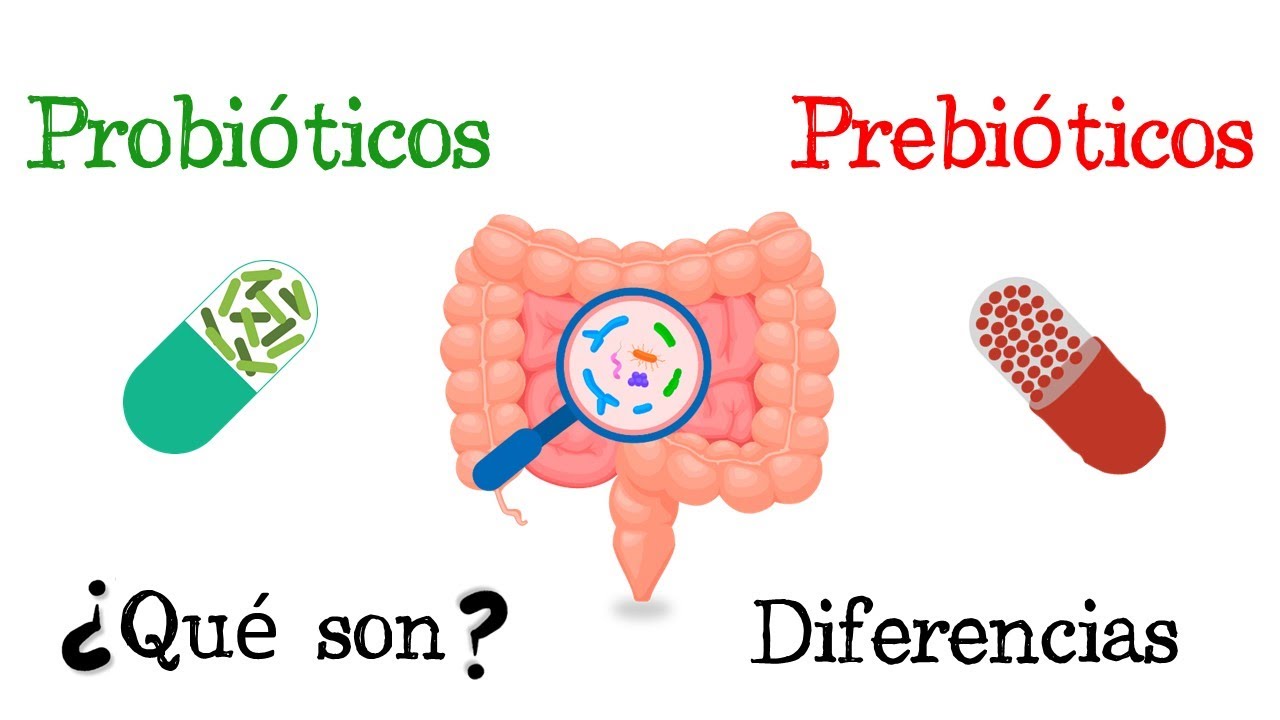 Que probioticos tomar para el estreñimiento