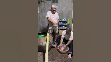 Cháo vịt chuối cây #duchoavlog #food #shorts #windnet